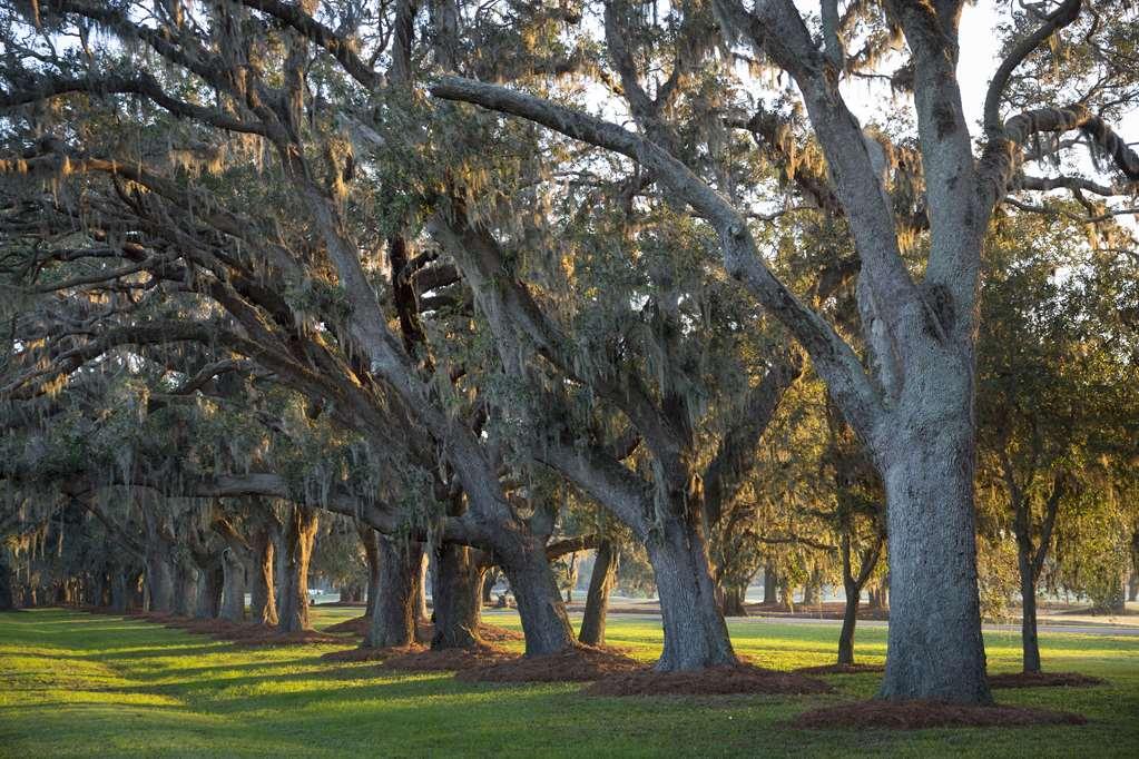The Lodge At Sea Island St. Simons Island Ανέσεις φωτογραφία